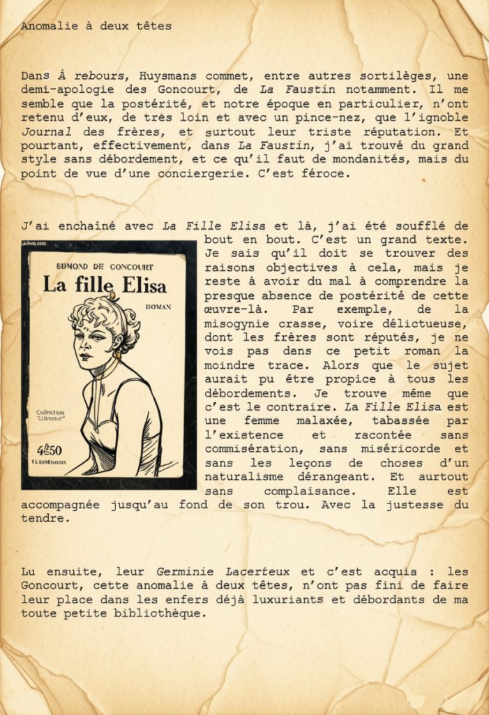 Dans À rebours, Huysmans commet, entre autres sortilèges, une demi-apologie des Goncourt, de La Faustin notamment. Il me semble que la postérité, et notre époque en particulier, n’ont retenu d’eux, de très loin et avec un pince-nez, que l’ignoble Journal des frères, et surtout leur triste réputation. Et pourtant, effectivement, dans La Faustin, j’ai trouvé du grand style sans débordement, et ce qu’il faut de mondanités, mais du point de vue d’une conciergerie. C’est féroce.
J’ai enchaîné avec La Fille Elisa et là, j’ai été soufflé de bout en bout. C’est un grand texte. Je sais qu’il doit se trouver des raisons objectives à cela, mais je reste à avoir du mal à comprendre la presque absence de postérité de cette œuvre-là. Par exemple, de la misogynie crasse, voire délictueuse, dont les frères sont réputés, je ne vois pas dans ce petit roman la moindre trace. Alors que le sujet aurait pu être propice à tous les débordements. Je trouve même que c’est le contraire. La Fille Elisa est une femme malaxée, tabassée par l’existence et racontée sans commisération, sans miséricorde et sans les leçons de choses d’un naturalisme dérangeant. Et surtout sans complaisance. Elle est accompagnée jusqu’au fond de son trou. Avec la justesse du tendre.
Lu ensuite, leur Germinie Lacerteux et c’est acquis : les Goncourt, cette anomalie à deux têtes, n’ont pas fini de faire leur place dans les enfers déjà luxuriants et débordants de ma toute petite bibliothèque.
